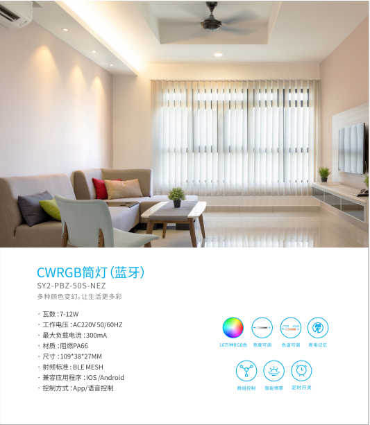 CWRGB voice control time switch bluetooth downlight