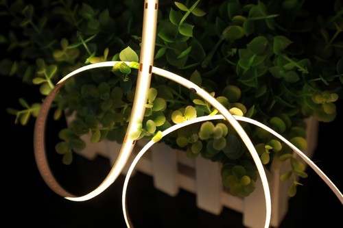 LED high-density two-color COB flexible soft light strip