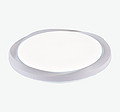 LED modern minimalist round petal-shaped outer ring ceiling light