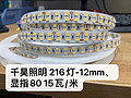 216 lights 12mm CRI 80 led strip