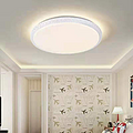 Led household living room white frame two-color temperature ceiling lamp