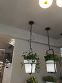 Led modern simple geometric iron art plant flowerpot Chandelier