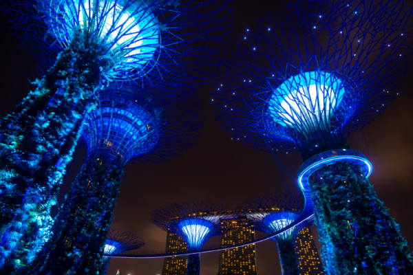 Led landscape tree lamps enhance the harmony between man and nature