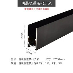 1 meter surface mounted rail