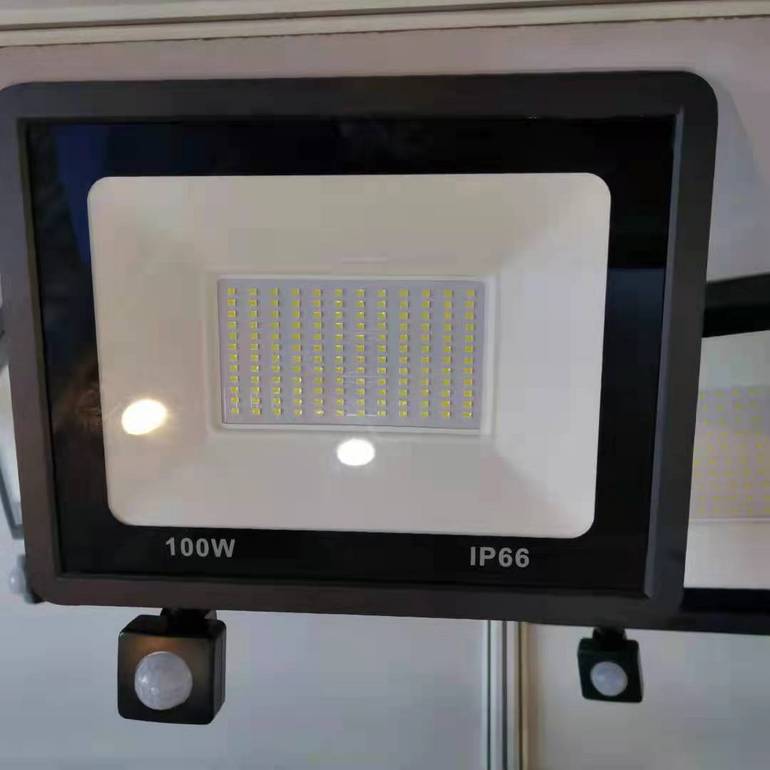 LED flood light