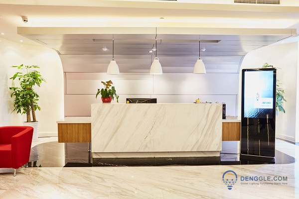 Is the Reception Pendant Lamp Expensive?
