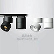 Led simple and personalized black-and-white two-color cylindrical track lamp