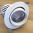 LED indoor personalized white adjustable beam downlight