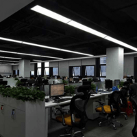 LED office commercial simple strip black frame ceiling light