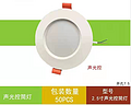 LED indoor home simple 2.5 inch sound and light control downlight