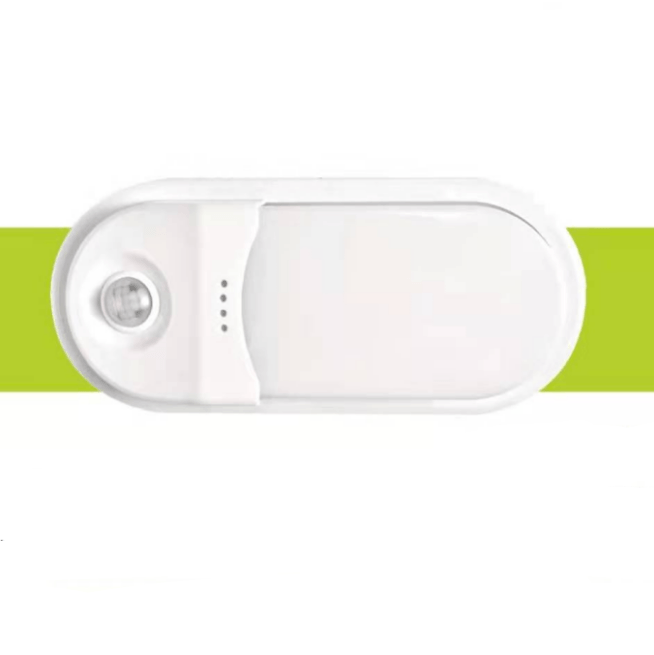 LED anti-fog smart 12w constant current human body induction wall light