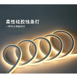 Qianlong LED Outdoor Bending Waterproof Flexible Silicone Linear Light Strip