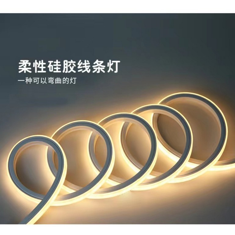 Qianlong LED Outdoor Bending Waterproof Flexible Silicone Linear Light Strip
