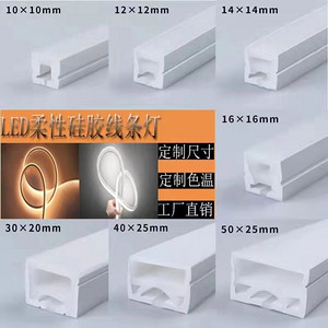 Qianlong LED soft energy-saving and power-saving silicone linear light