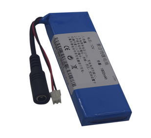 Various styles of safe and stable 12V polymer lithium battery
