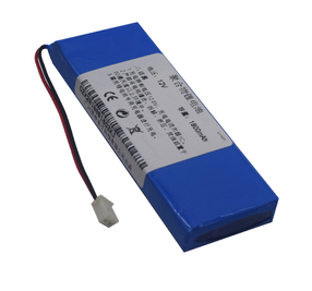 Various styles of safe and stable 12V polymer lithium battery