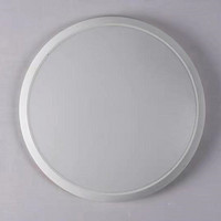 LED ultra-thin indoor household high-brightness moisture-proof and mosquito-proof ceiling lamp