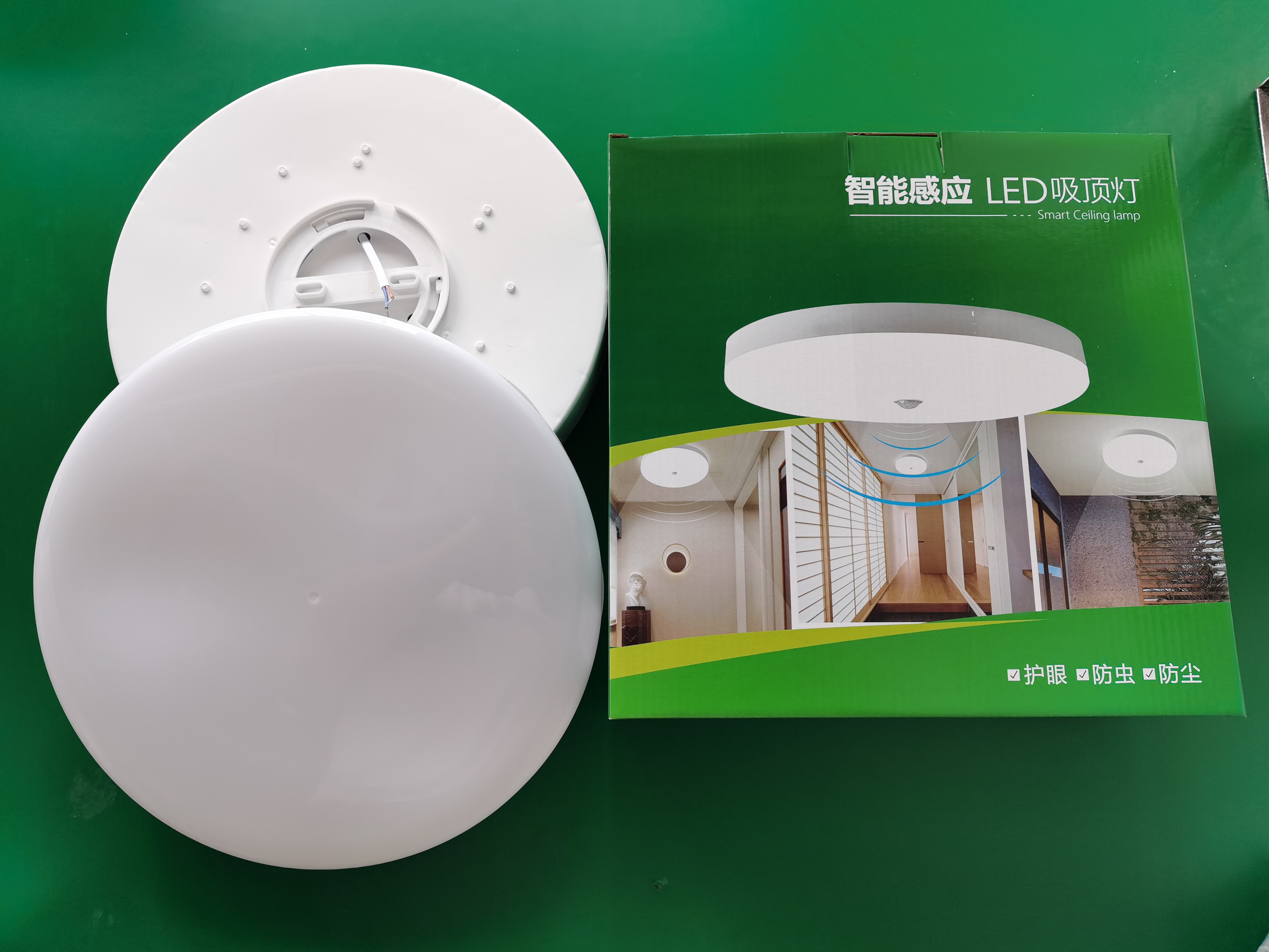 LED indoor corridor simple intelligent induction ceiling light