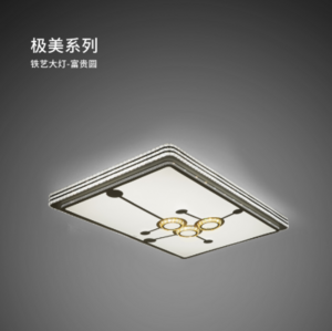 Fuguiyuan series new Chinese style living room super bright energy-saving iron ceiling lamp