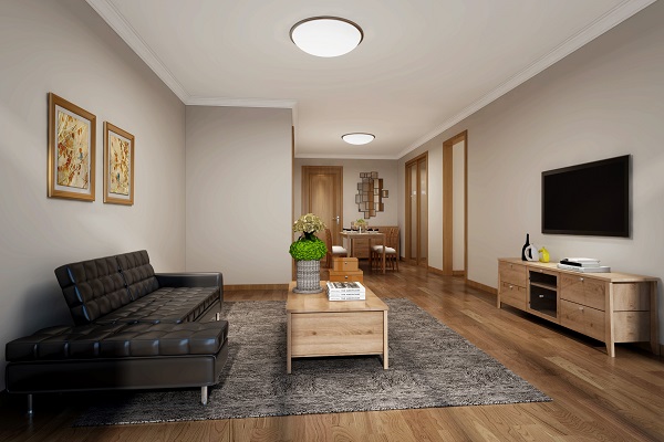 The Vintage Chinese-style Drawing Room Ceiling Light