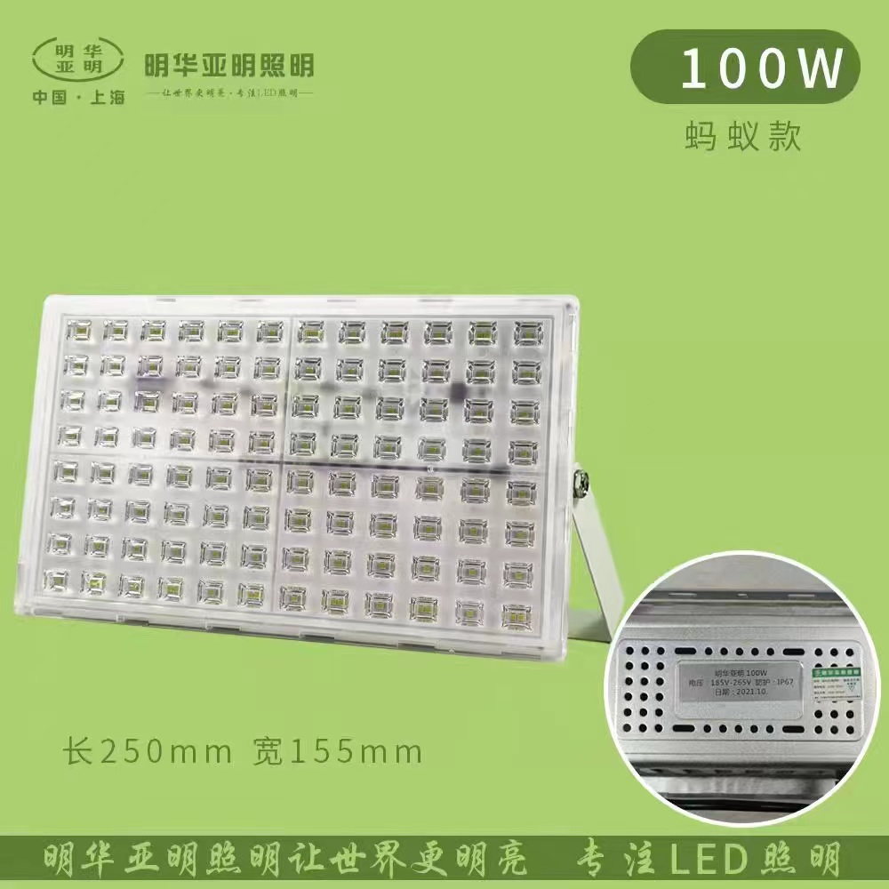 Outdoor bright ant 100wled floodlight