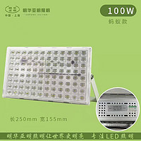 Outdoor bright ant 100wled floodlight