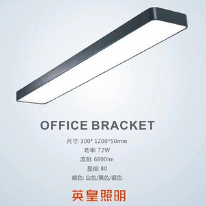 Long Simple Super Bright Classroom Office Lamp