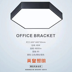 Hexagonal Simple Black Edge Office Lamp