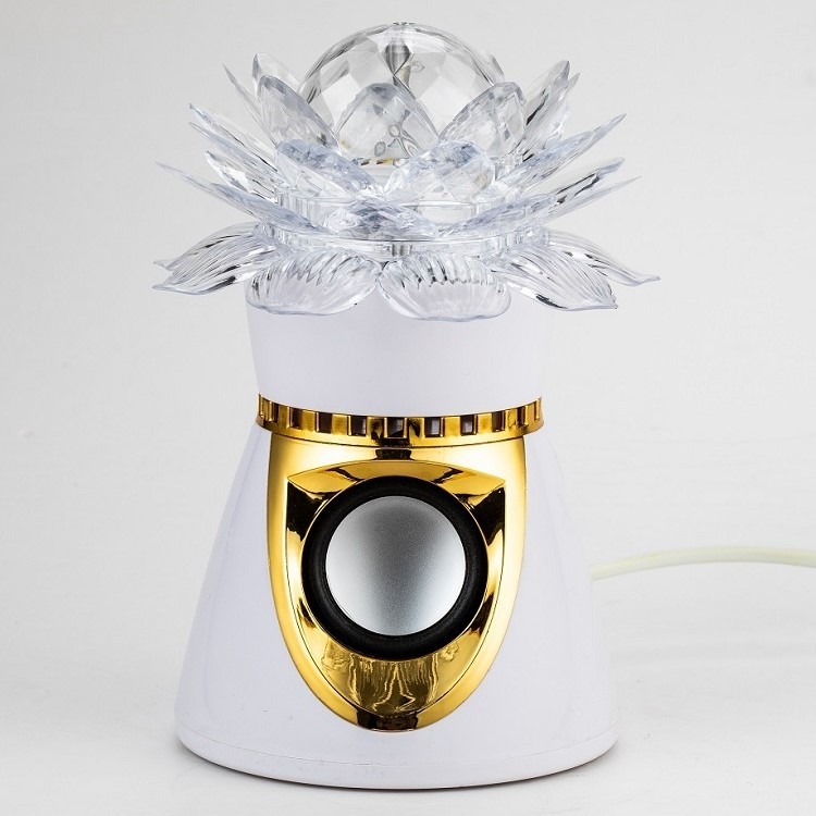 Lotus ball sound atmosphere stage light