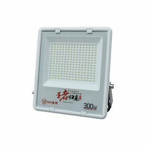 Outdoor lighting site workshop floodlight