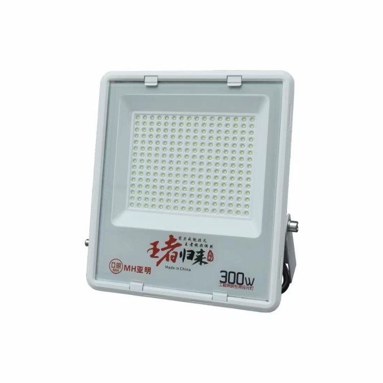 Outdoor lighting site workshop floodlight