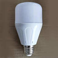 LED sound-light control column type bulb