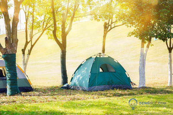 Is the Camping Fan Lamp Worth Buying?
