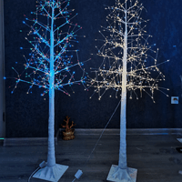 Outdoor Park Courtyard Roadside Color 1.6m Tree Light