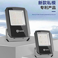 Patent Navigator Series Flood Light 50w100w