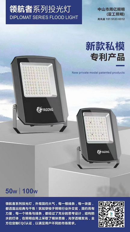 Patent Navigator Series Flood Light 50w100w