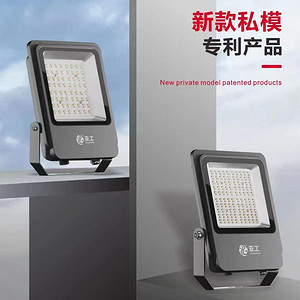 Patented Parker Series 50-100w Flood Light