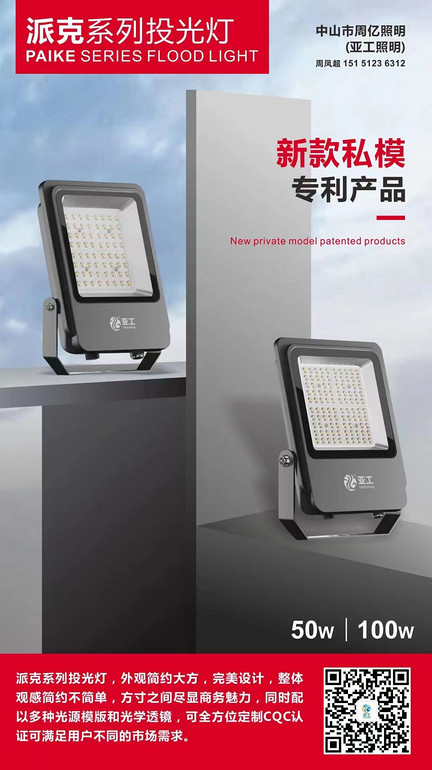 Patented Parker Series 50-100w Flood Light