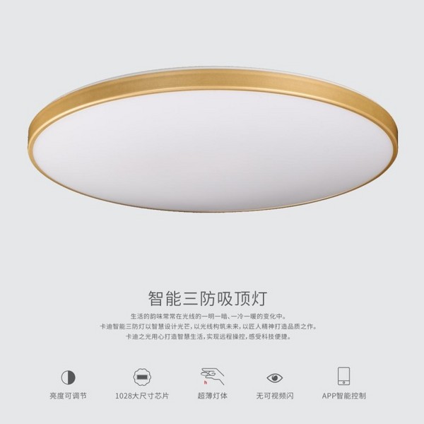 Intelligent Adjustable Brightness Household Tri-proof Ceiling Lamp