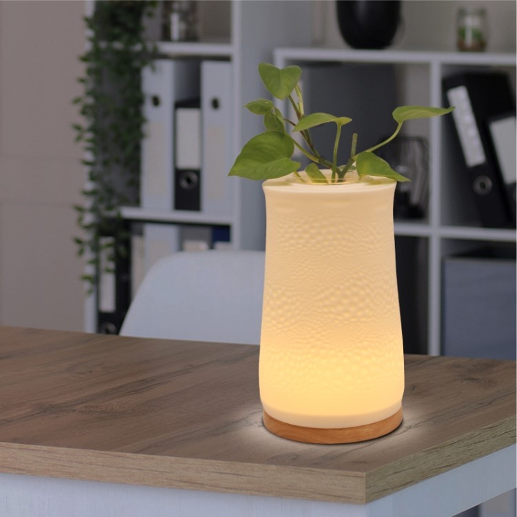 3D Printing Plant Flower Lamp Table Lamp 001 Series Point Element