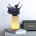 3D Printing Plant Flower Lamp Table Lamp 001 Triangle Series