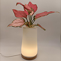 3D Printing Plant Flower Lamp Table Lamp 001 Vertical Bar 80