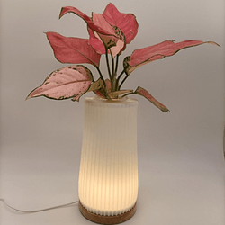 3D Printing Plant Flower Lamp Table Lamp Vertical Pattern 50