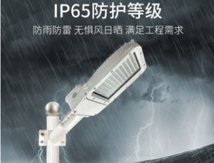 IP65 Rain and lightning protection High light street lamp