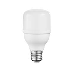 Indoor Household Light Bulb Screw Mount