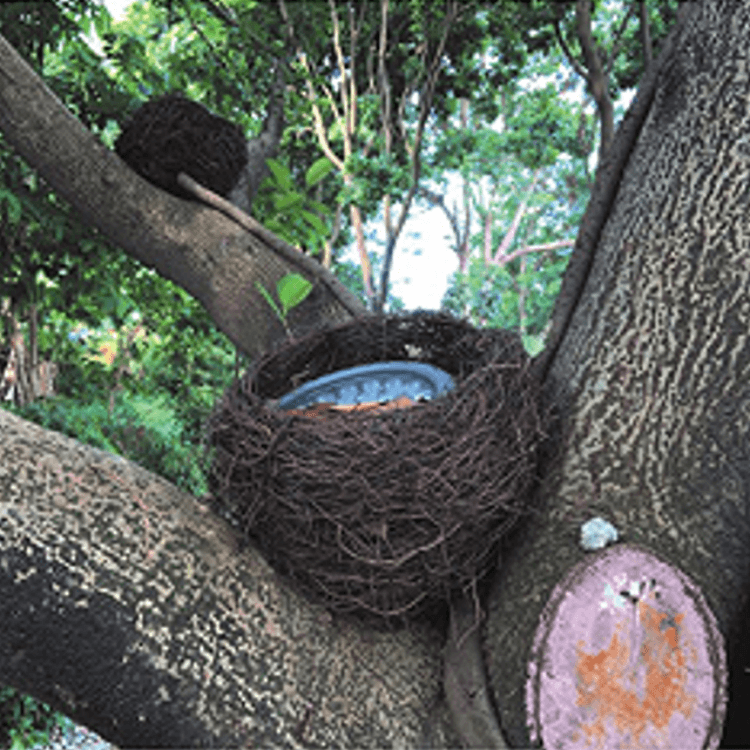 Nest Tree Landscape Lamp Decoration Cultural Tourism 