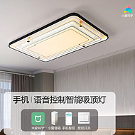 Living room and dining room mobile phone voice intelligent control ceiling light