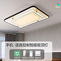 Living room and dining room mobile phone voice intelligent control ceiling light