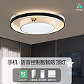 Small love intelligent fashion high-end atmosphere light luxury ceiling lamp