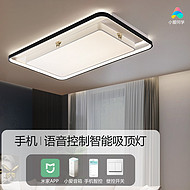 LED rectangular light luxury high-end ceiling light